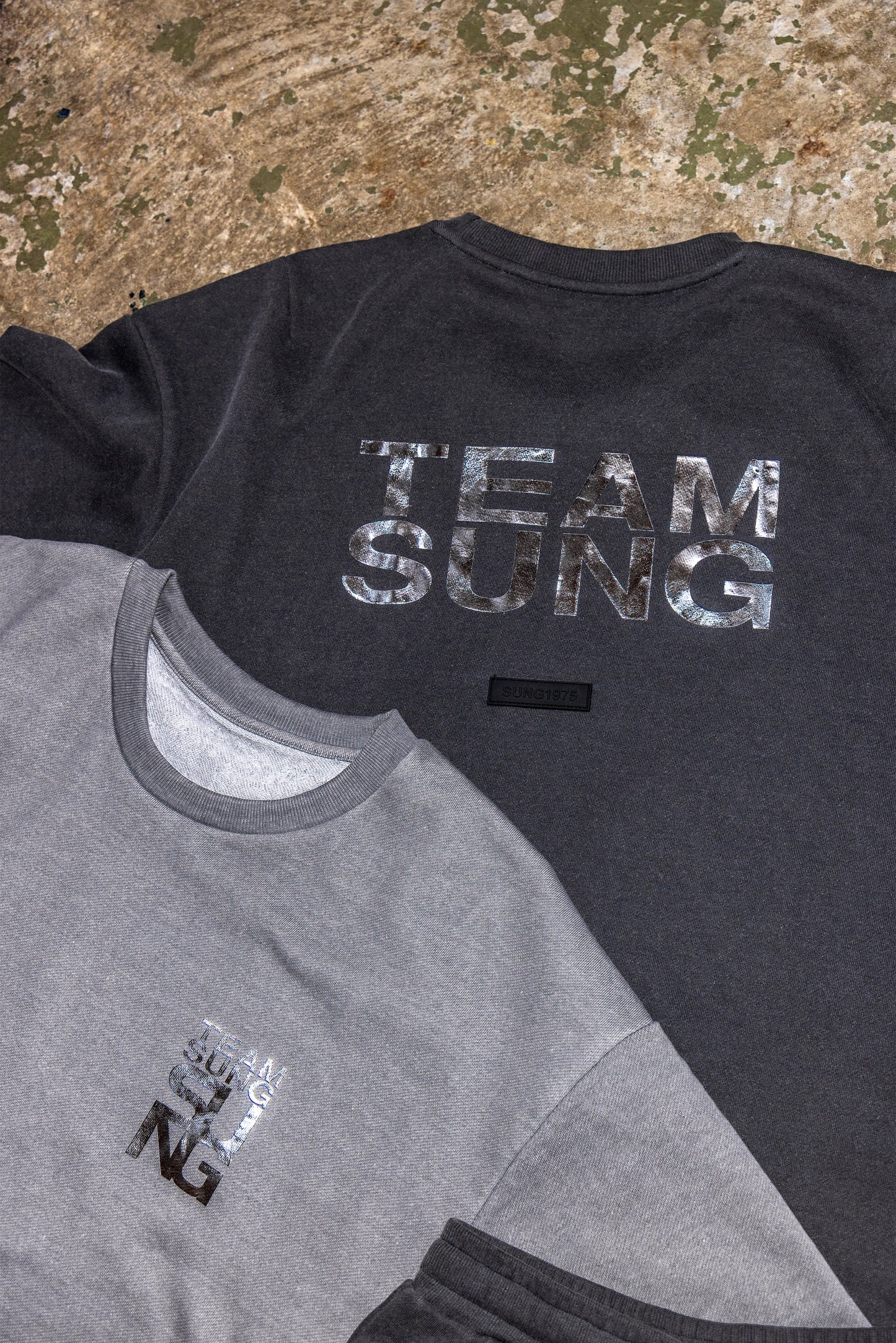 SILVER MARK FADED TEAM TEE
