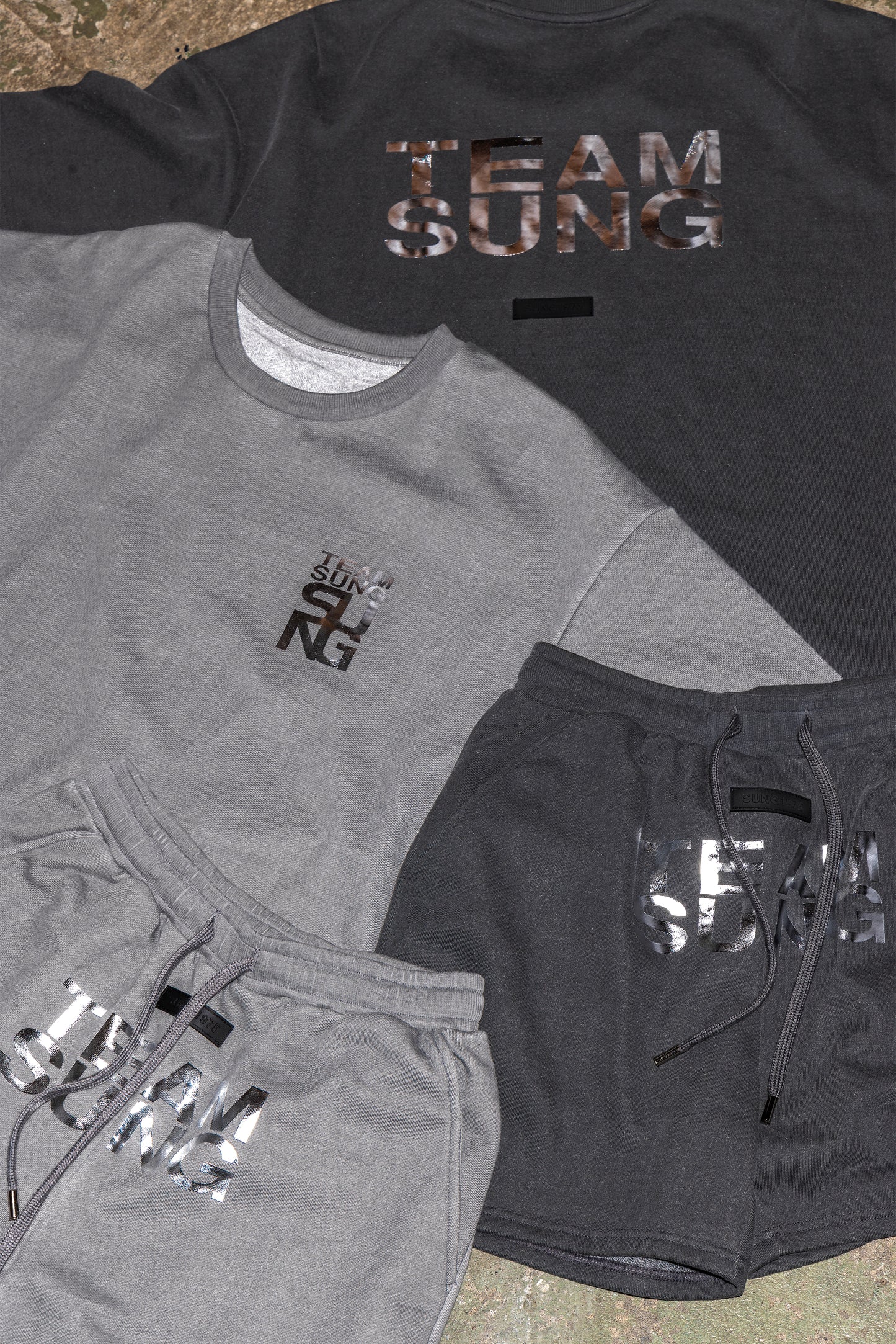 SILVER MARK FADED TEAM TEE